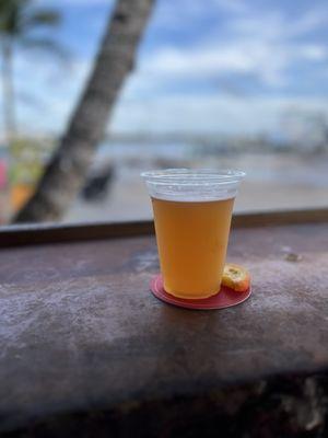 Blue Moon sitting in bar area