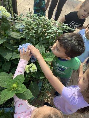 Learning about the flora and fauna on our playground.