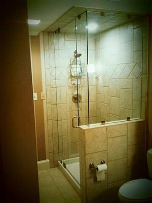 Frameless Shower Door