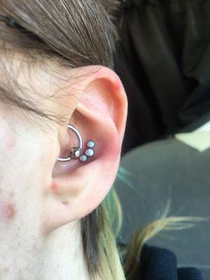 Fresh conch with 3 white opals! Daith was done by Noah, someone who was being supervised by Fish.