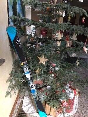 Ski is under the tree!