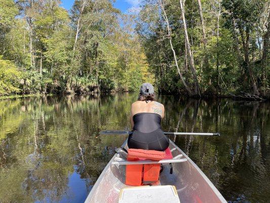 Canoeing down the Ocklawaha river.