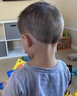 This is what pinky's did to my sons hair :(