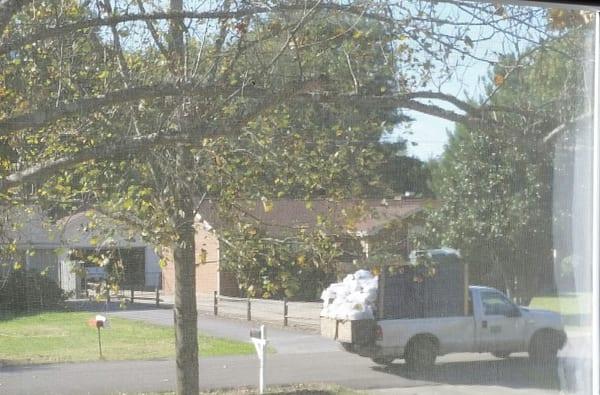 Gray's disposal truck.  Rather than dumping the trash directly into the truck, the employees reach into the bin and pull out the trash.