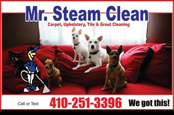 Mr Steam Clean