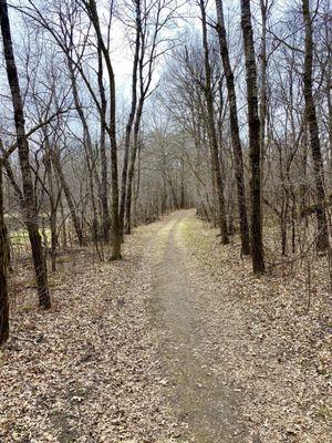 Spring time on the trails.