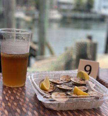 Raw Clams for table 9