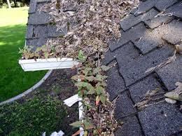 Does your roof and gutter system look like this??