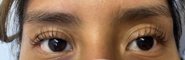 GBG Lash Lifting