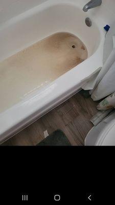 Septic back up in my tub