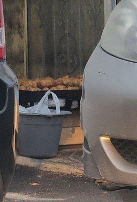 Egg rolls sitting on the ground next to a garbage bin., I watched the man throw a container in. Outside door wide open.