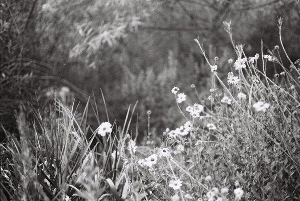 LA river