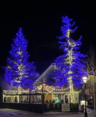 Blue Stag front patio and lit trees