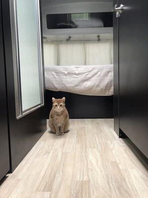 Chaser loved the Airstream as much as we did.