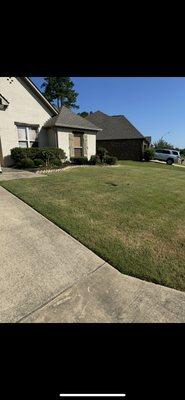 Hedges along with first time cut spring time.