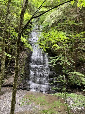 Fillmore Glen State Park