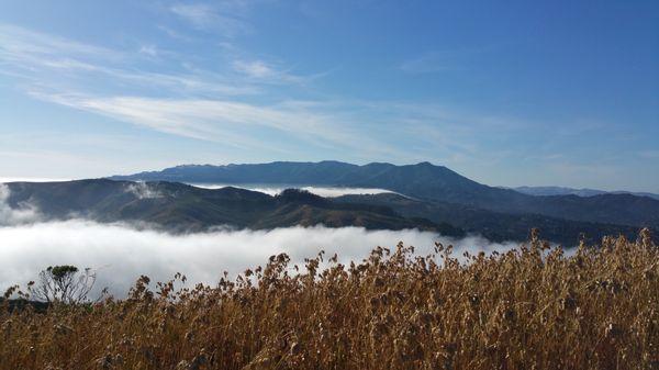 My favorite hiking place, Mt. Tam!