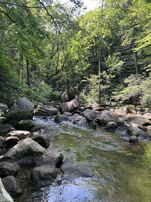 Riverside walks