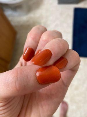 Tulip Nails Hermitage