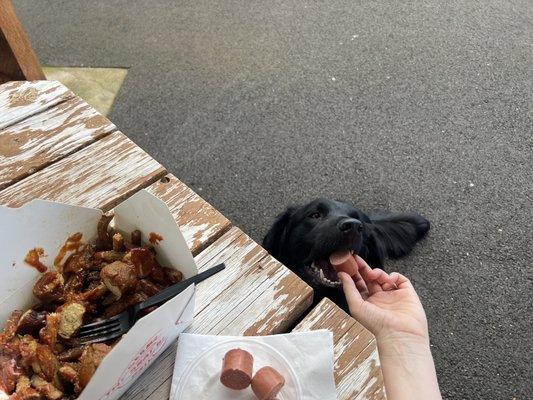 Curryworst and a puppy snack!