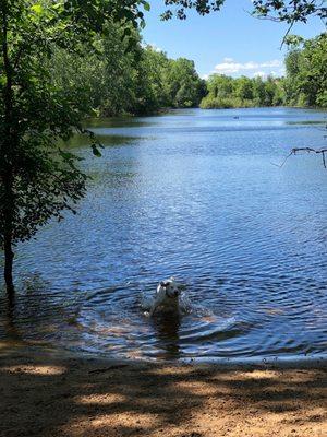 Soldan Dog Park