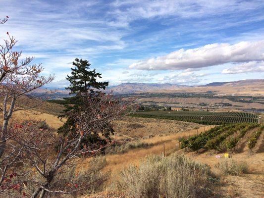 View from Malaga Winery