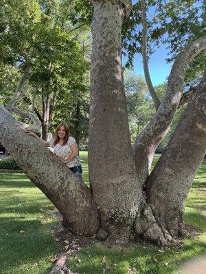 Marilyn posing by the beautiful tree.