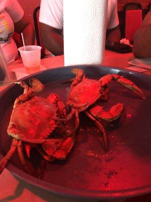 Blue crab