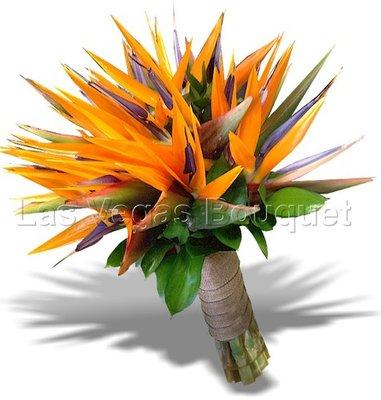 Birds of Paradise bridal bouquet