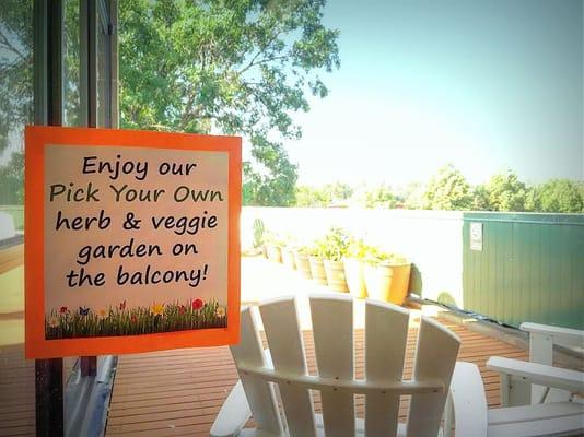 Bear Valley Library has a pick your own herb and veggie garden upstairs!