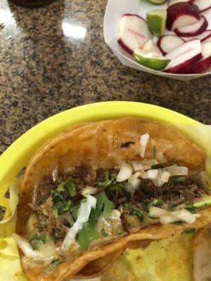 Quesa birria taco