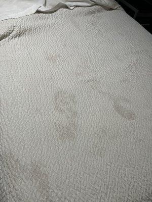 Stains from god knows what