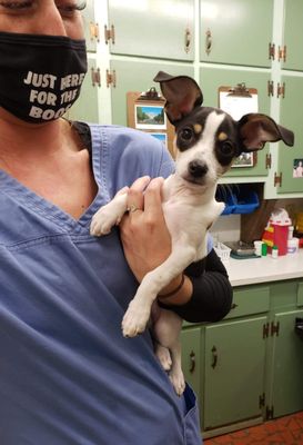 vet tech with a pup!