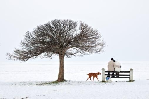 Stay Warm This Winter. Hire an Agent to Find Your Love