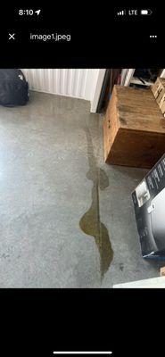 Urine leaked under the door of our unit