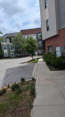 Canalside Lofts