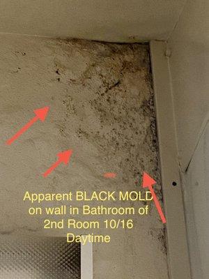 This looks like black mold to me in the corner of my hotel room bathroom at Anderson Inn.