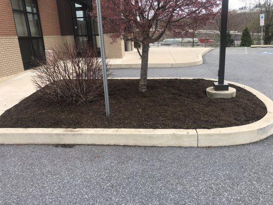 Commercial property being mulched after hours of there business