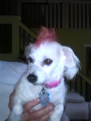 Success is rockin her Mohawk..I love love love her becky