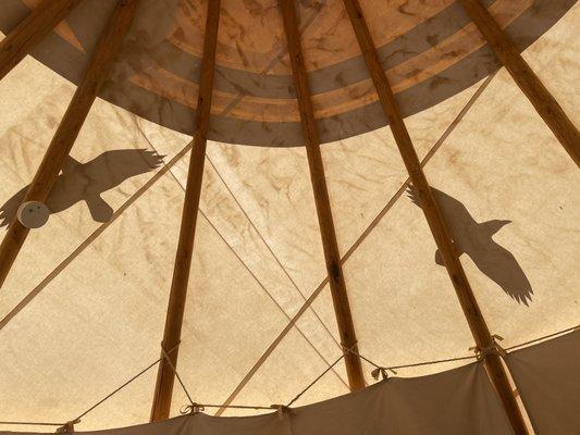 Our yurt. The Ravens Nest.