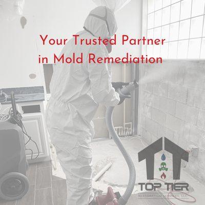 Mold remediation