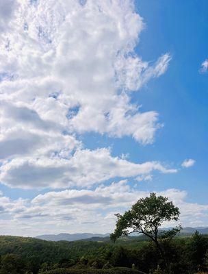 The view at Cottage Winery