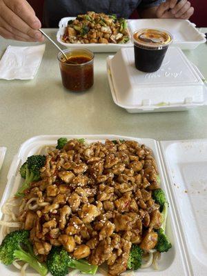 seasame chicken over noodles and kung pao chicken and veggies over noodles plus spicy chicken salad (not pictured)