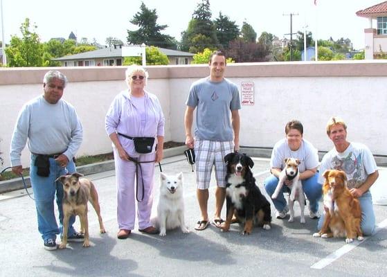 Bingo Dog Training