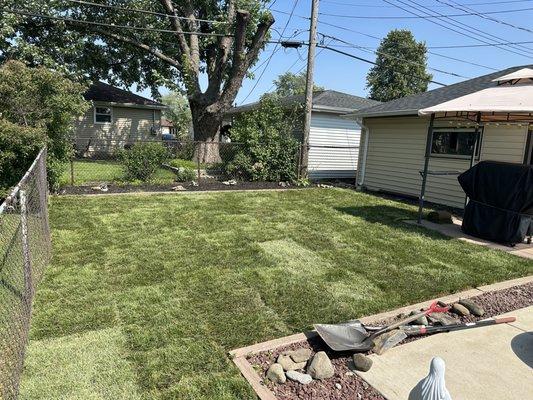 Freshly installed sod lawn!