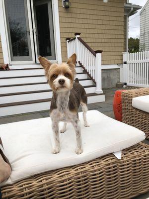 Biggie Smalls with his new haircut.