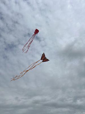 You can fly kites here!