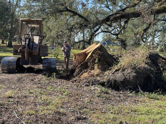 Stump'Es Stump Grinding