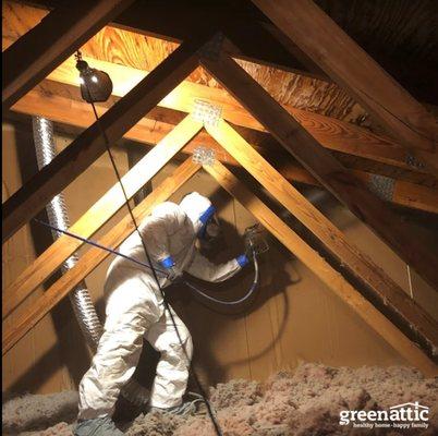 Mold Treatment Applied To Sheathing ( roof deck ) before spraying a clear coat to create a non-organic attic roof deck surface. Warranty !