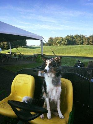 Course Dog Nittany on the job!